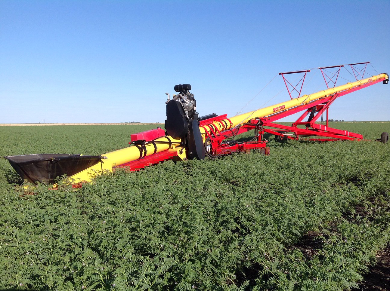 Grain auger vs grain conveyor for handling chickpeas